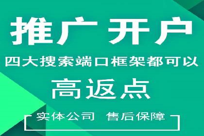 精选案例分享：SEM代运营公司效果展示